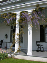 Fig.26, Victorian porch with wisteria